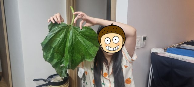 [꾸미기]KakaoTalk_20250712_180747498_01.jpg